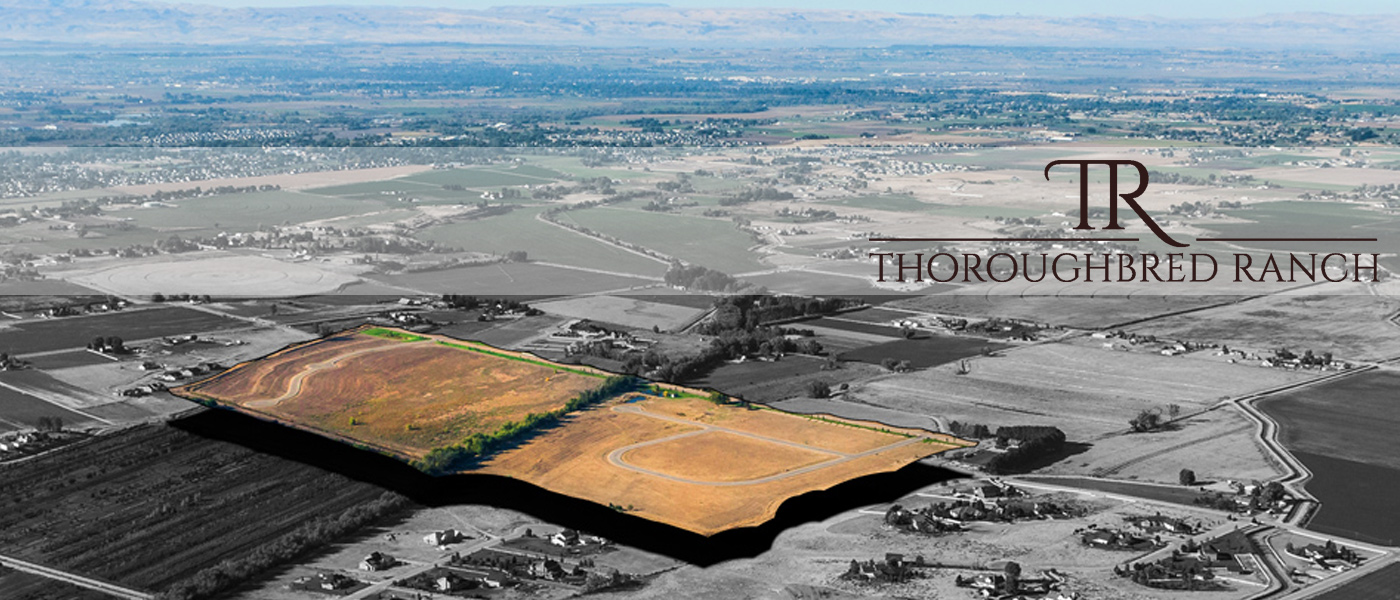 Thoroughbred Ranch Aerial Photo